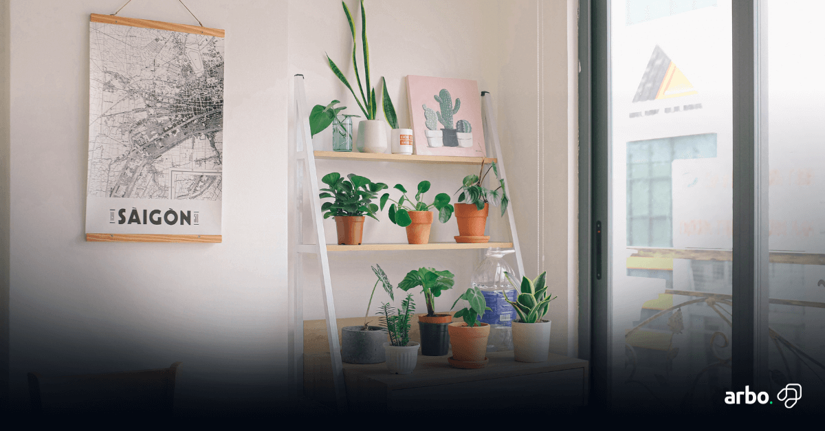 7 ideias de decoração simples para sua casa